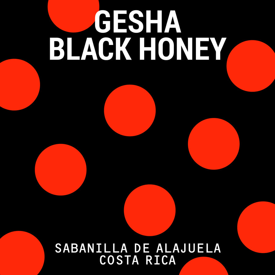 Las Lajas Gesha Black Honey
