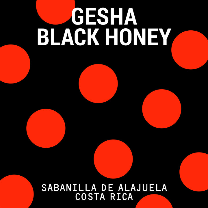 Las Lajas Gesha Black Honey