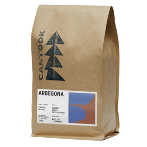 Arbegona