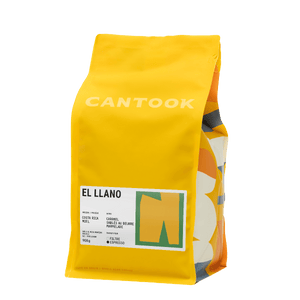 El Llano