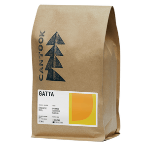 Gatta