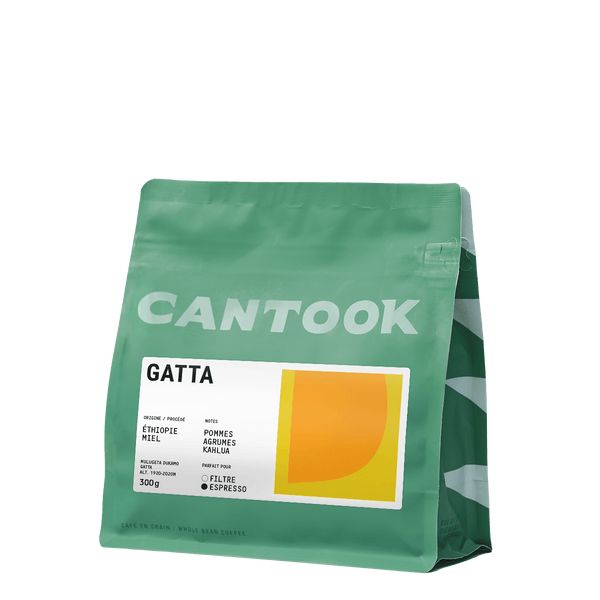 Gatta