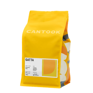 Gatta
