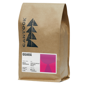 Guará