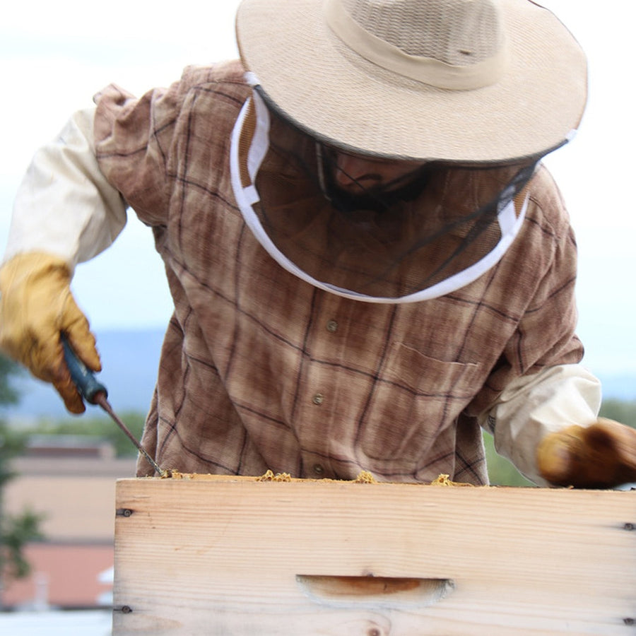Raphël au travail avec les ruches Cantook